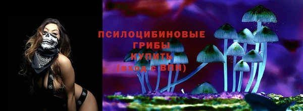 МДПВ Наволоки
