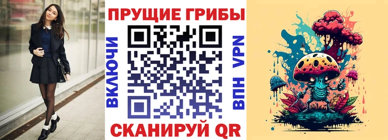 Галлюциногенные грибы GOLDEN TEACHER  MEGA сайт  Фрязино 